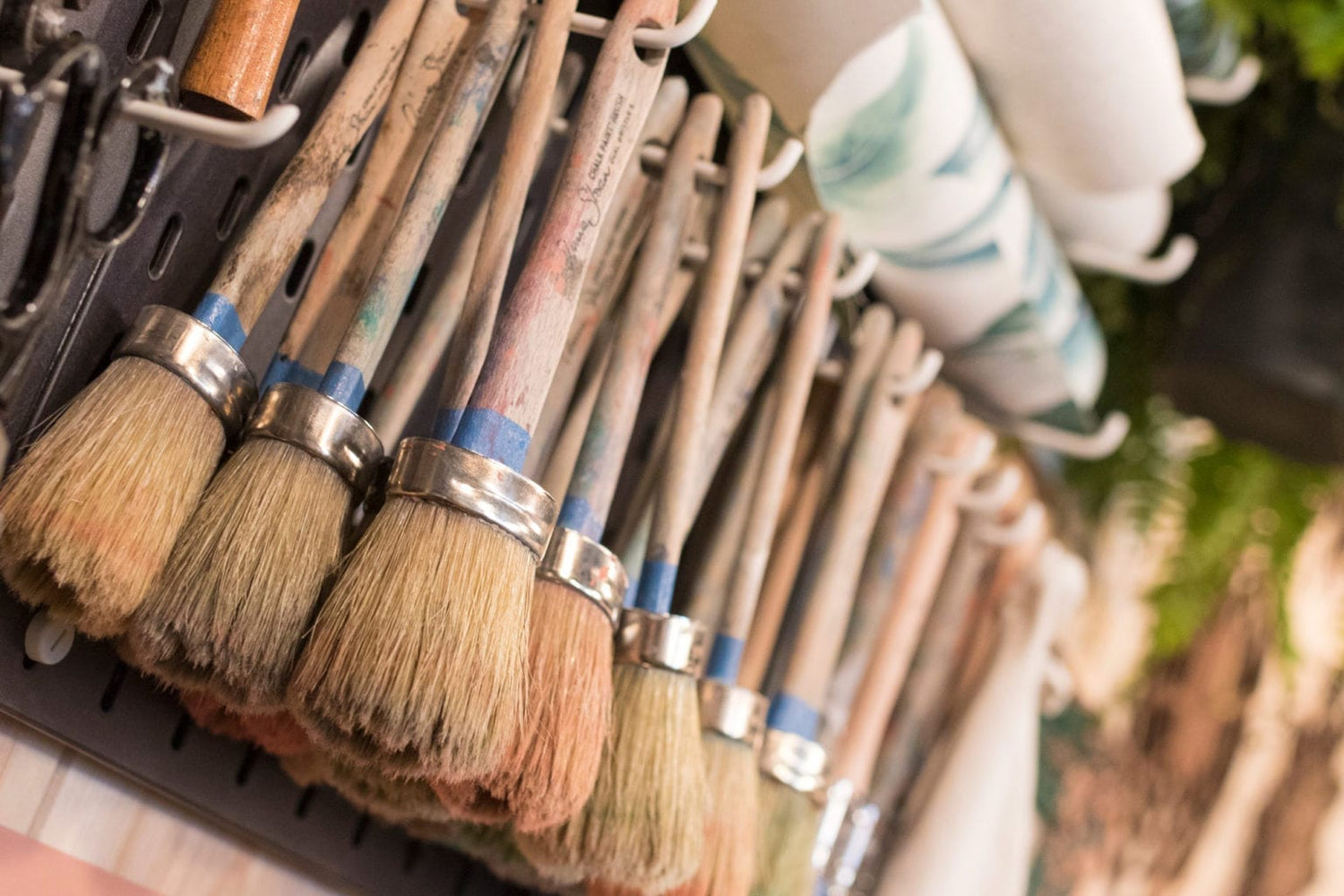 A collection of brushes