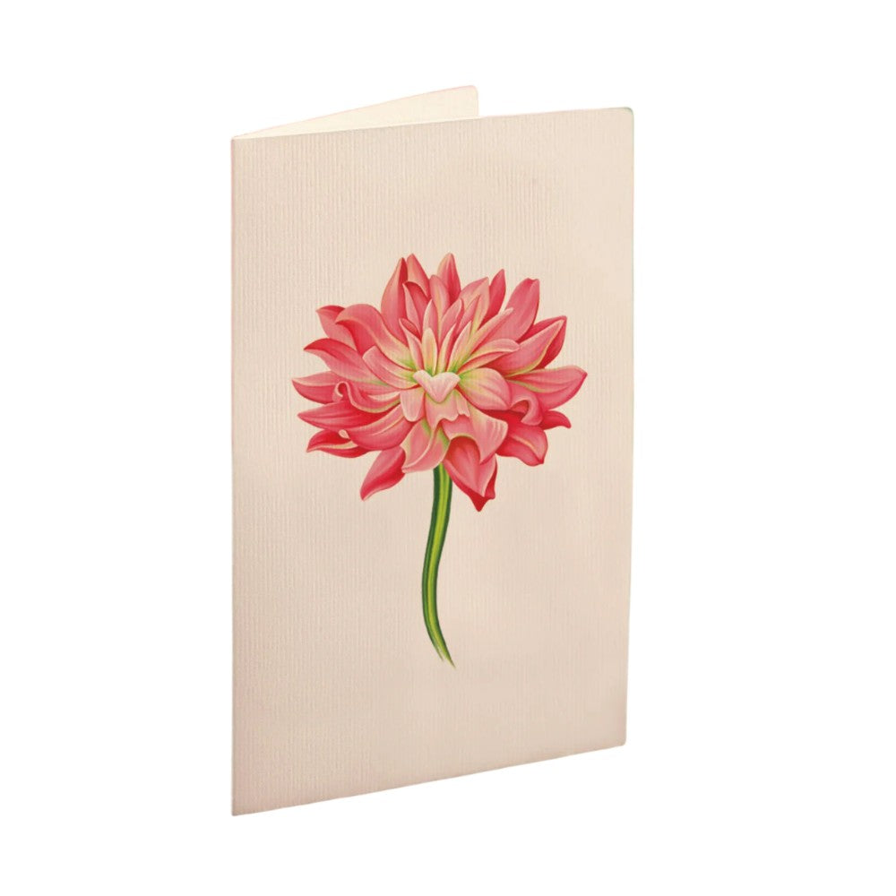 Cream card with pink flower illustration on the front.