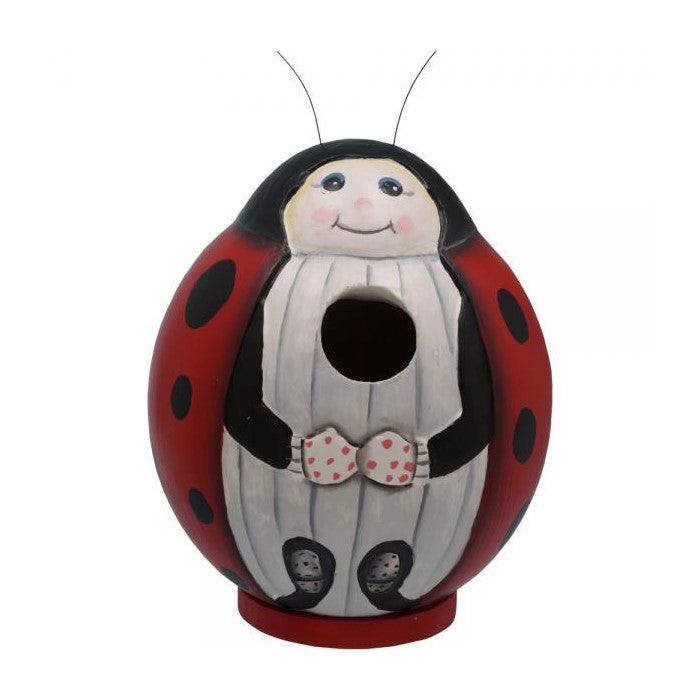 Ladybug-themed birdhouse with a cute face and polka-dot details.