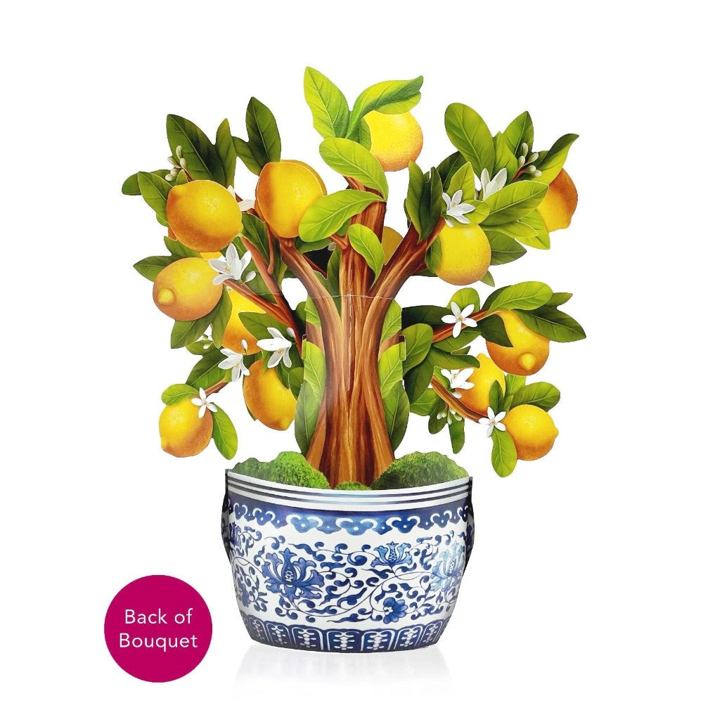Lemon tree illustration in a decorative blue-white pot.