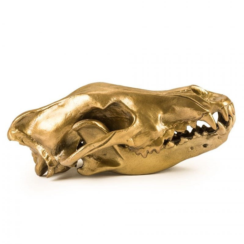Gold metallic canine skull sculpture.