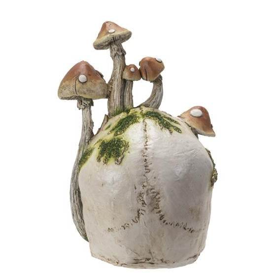 Mushrooms grow on a white skull with green moss accents.