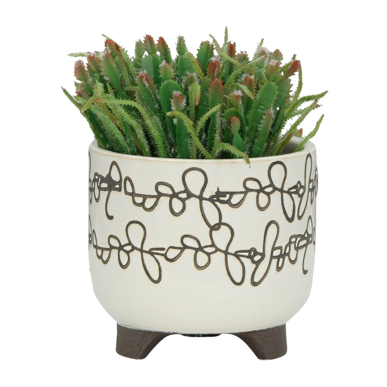 Cactus in a decorative white pot with brown swirl patterns.