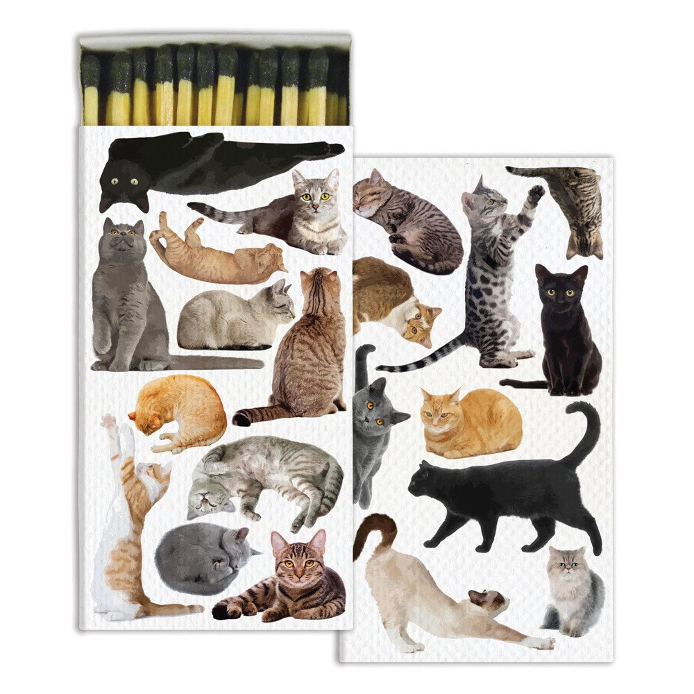 Matchbox with playful cat illustrations on the cover.