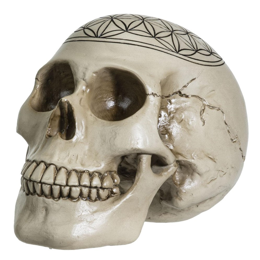 Picture of Flower of Life Skull