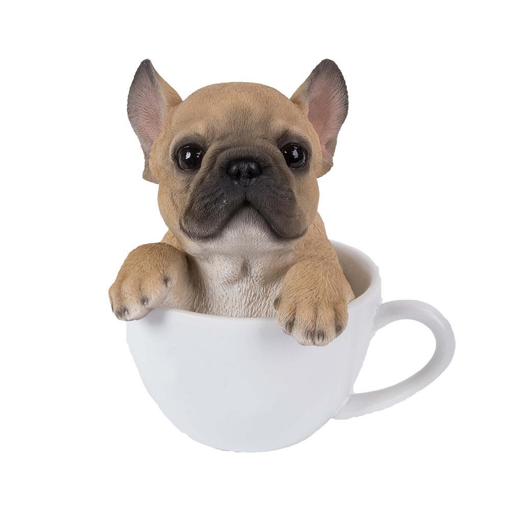 Puppy sitting inside a white teacup, looking adorably curious.