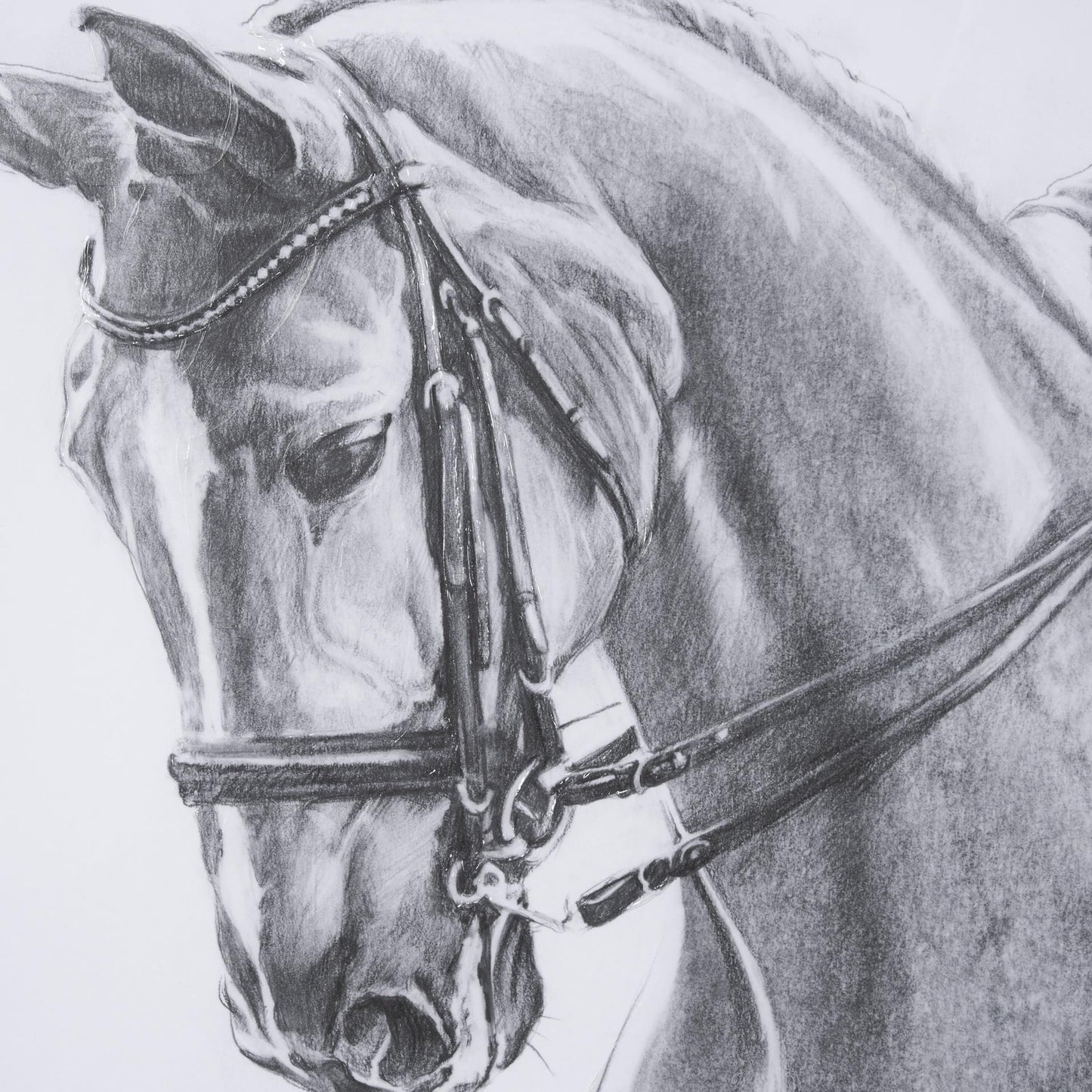 Black and white horse portrait sketch with bridle detail.