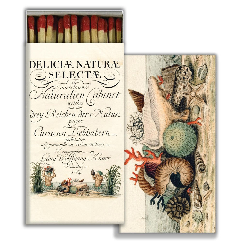 Decorative matchbox with seashell illustration and vintage-style text.