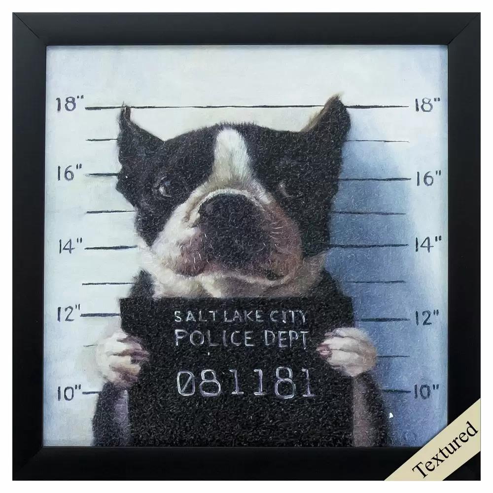 Picture of Mug Shot