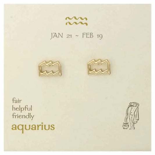 Picture of Zodiac Stud Earrings - Aquarius