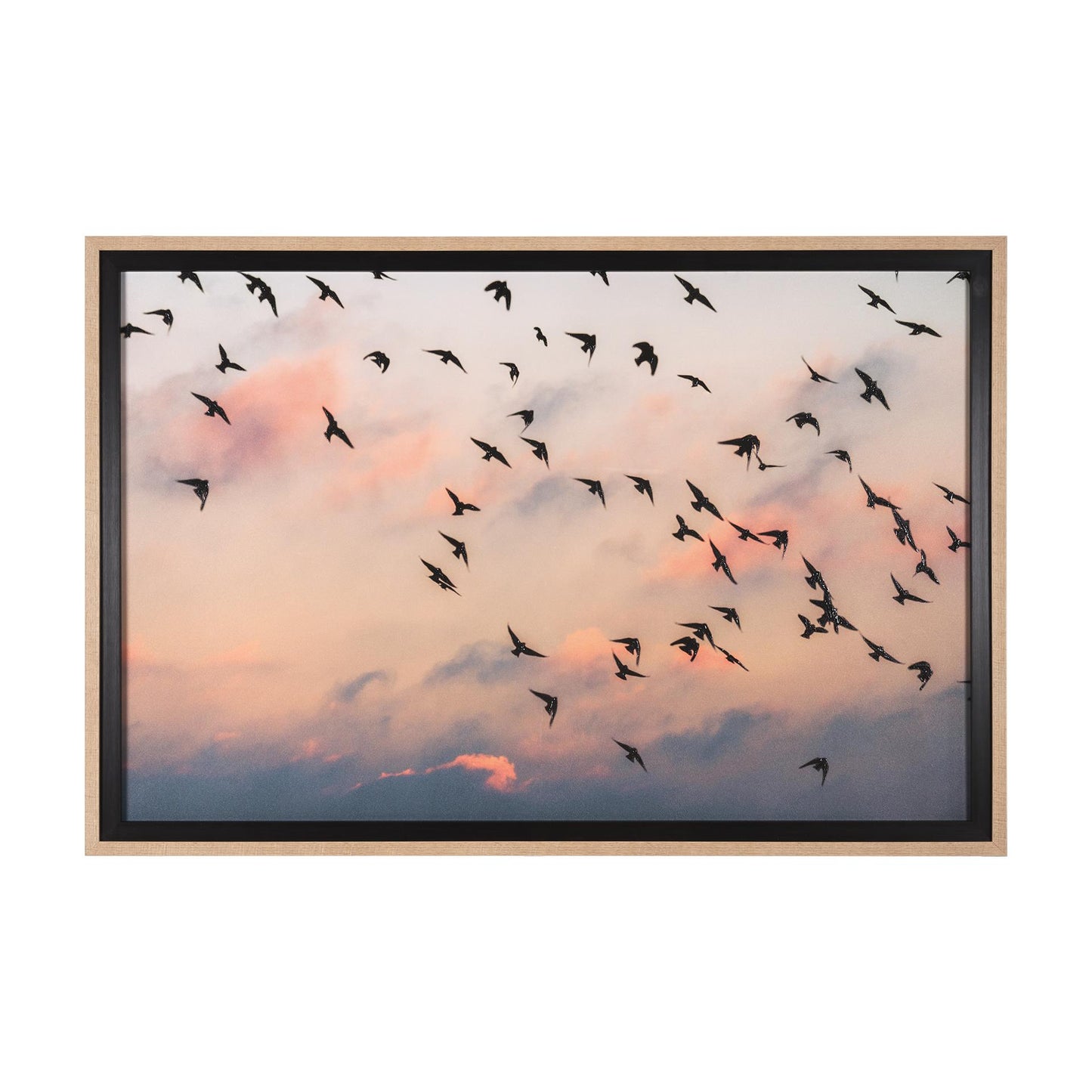Flock of birds soaring across a vibrant sunset sky.