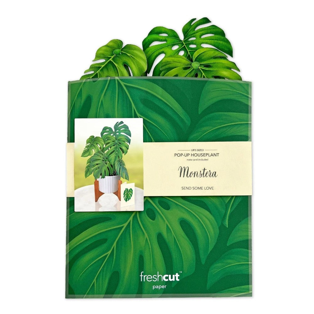 Pop-up Monstera plant card with illustrated packaging and insert.