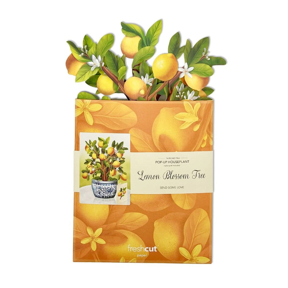 Pop-up lemon blossom tree in an orange floral gift box.