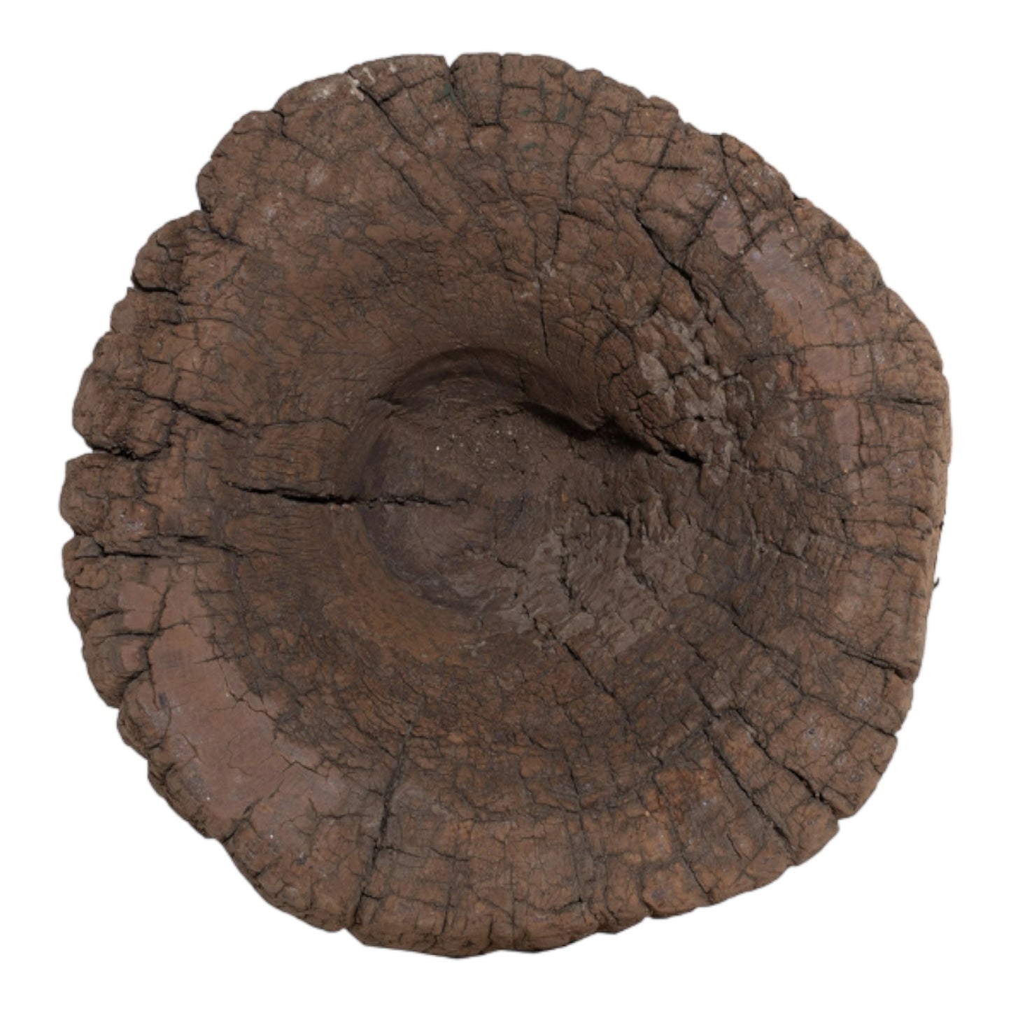 Close-up of a tree stump's center with visible rings and cracks.