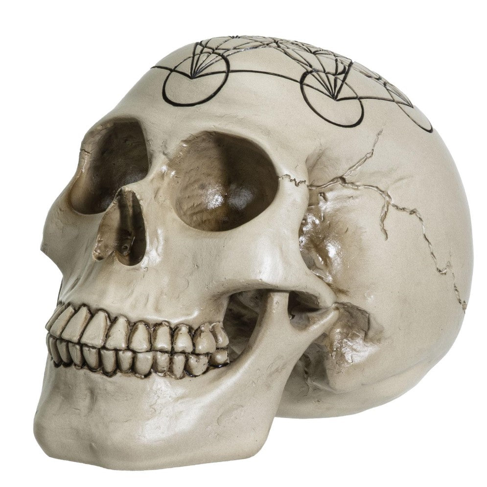 Picture of Metatrons Cube Skull
