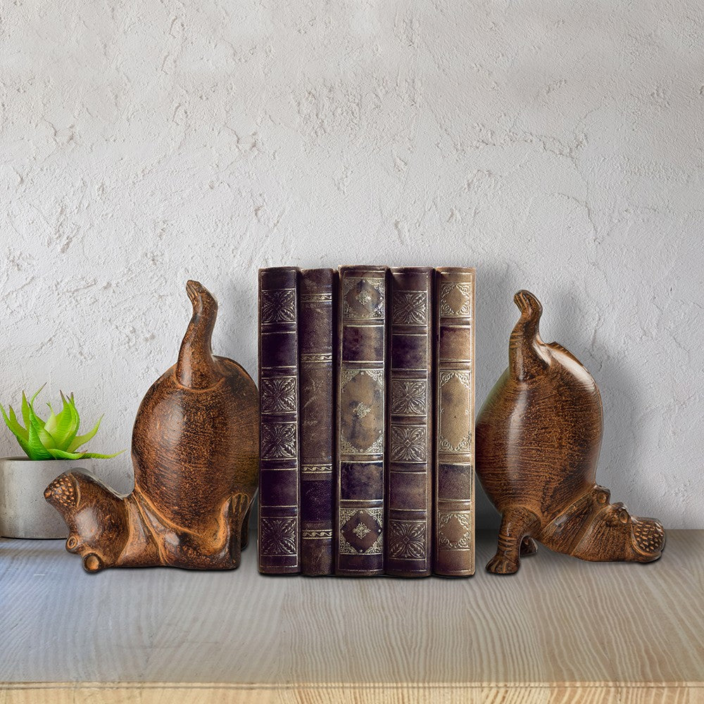 Books between playful bear bookends, beside a small green plant.