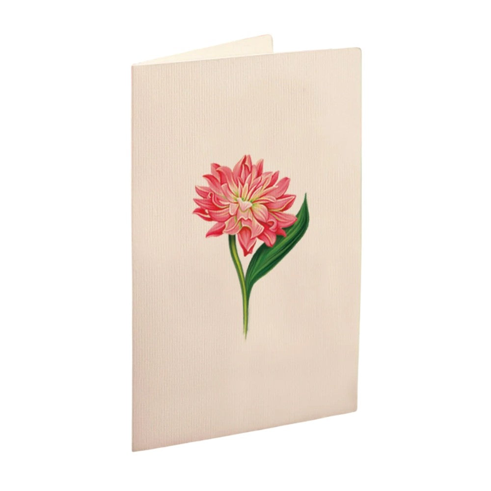Cream card with a pink flower illustration.