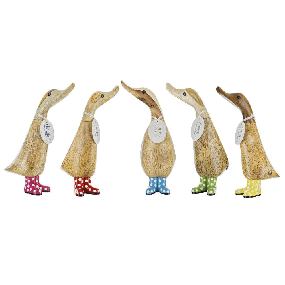 Wooden duck sculptures in colorful polka-dot boots standing in a row.