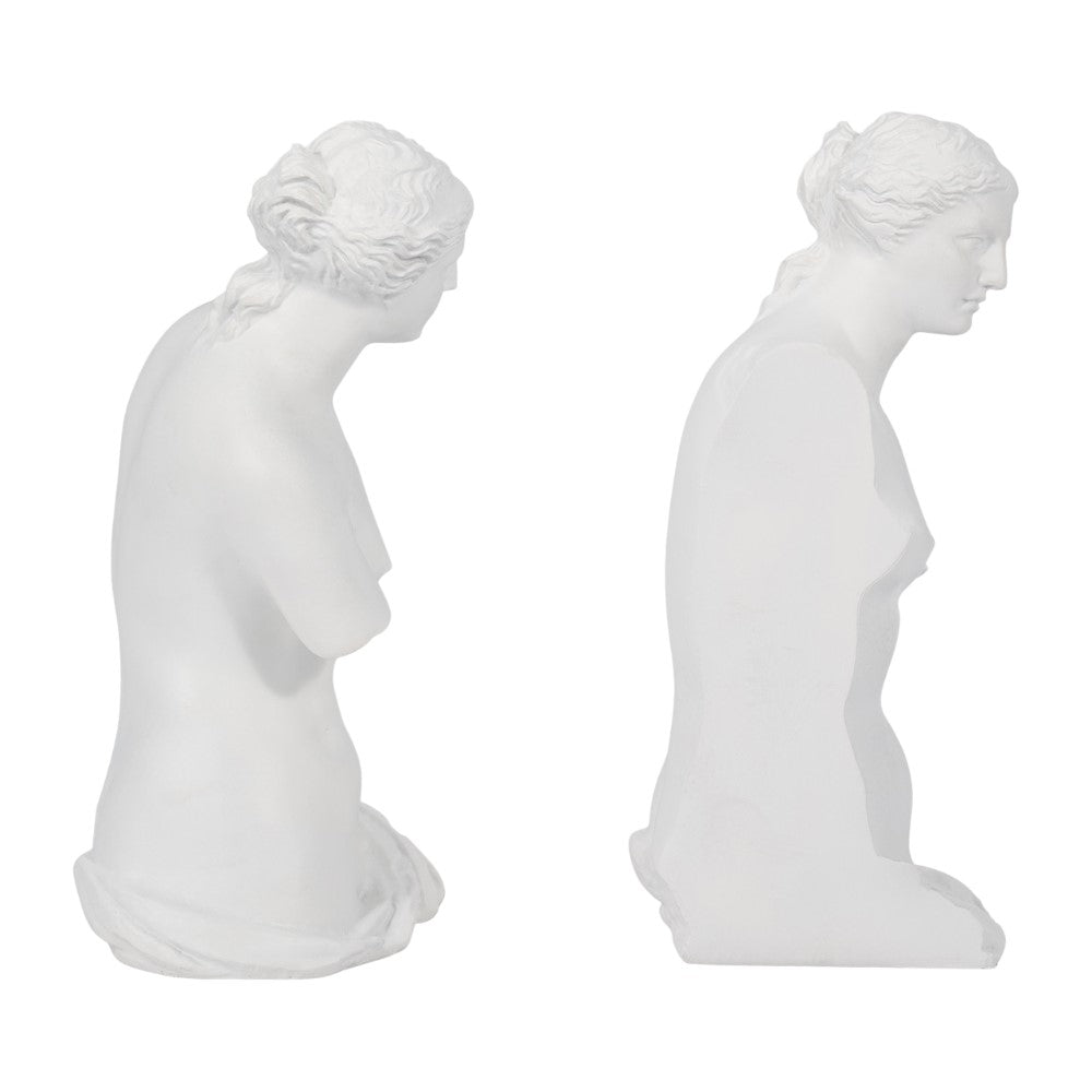 Two white classical-style busts, side and profile views.