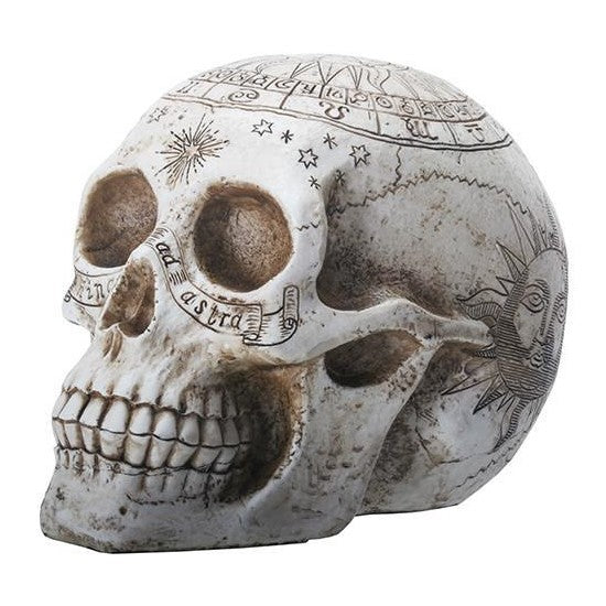 An artistic skull with celestial and astrological engravings.