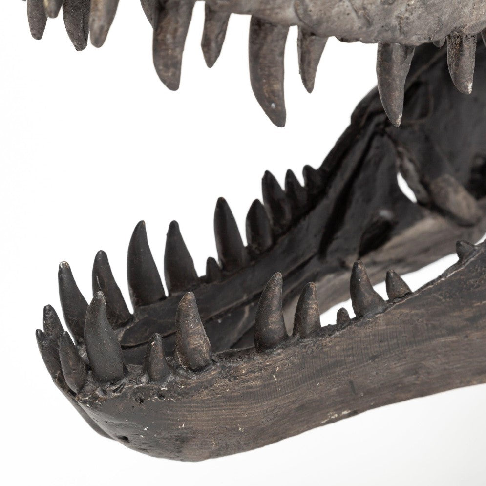Picture of T-Rex Skull Decor on Stand Small