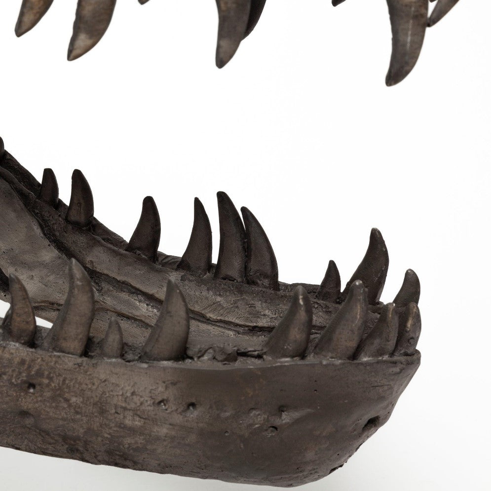 Dinosaur jaw fossil with sharp teeth, white background.