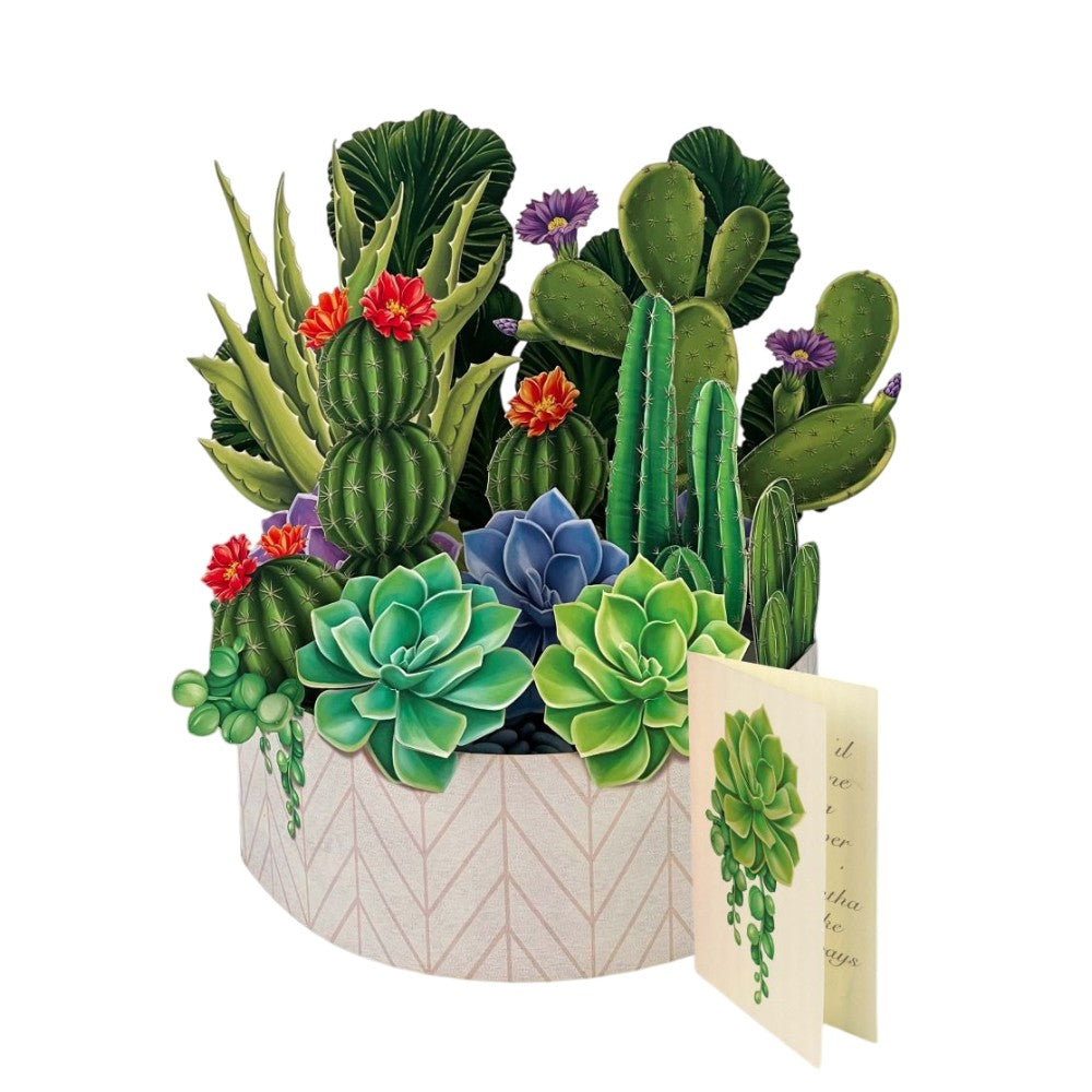 Vibrant 3D succulent and cactus plant pop-up card with a small note.