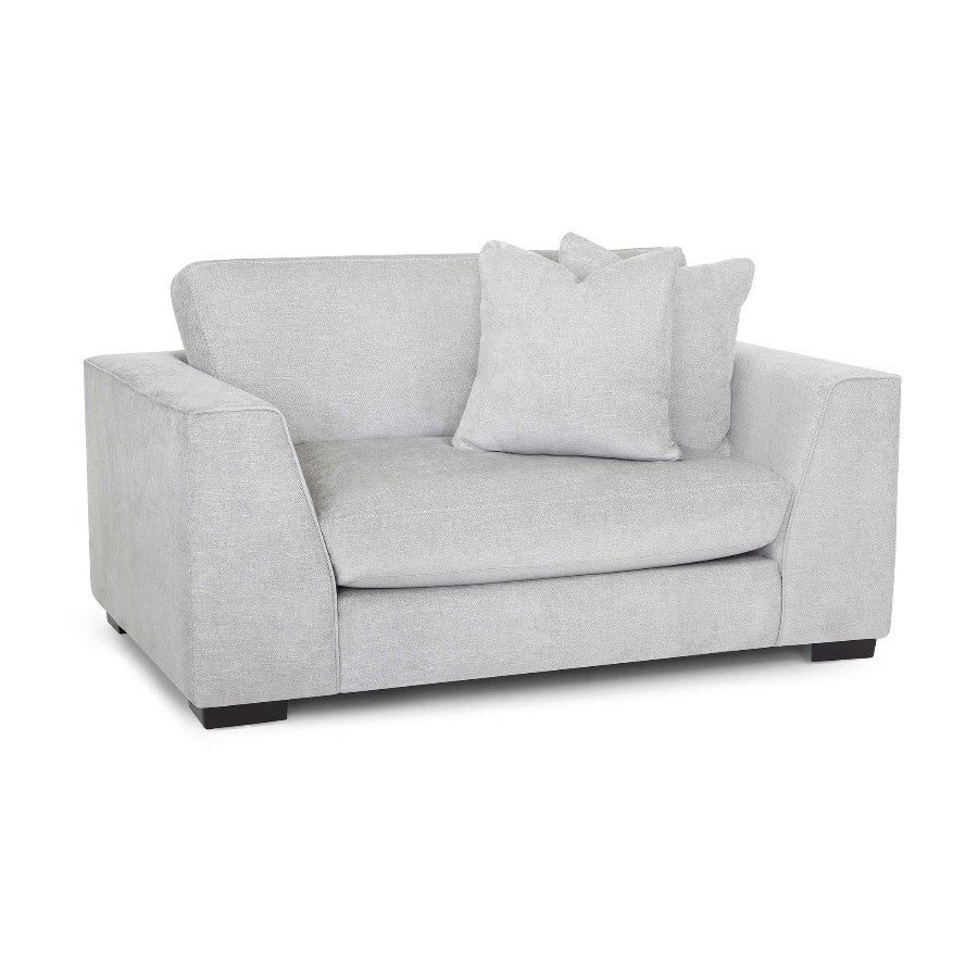 Light gray sofa with two matching cushions.
