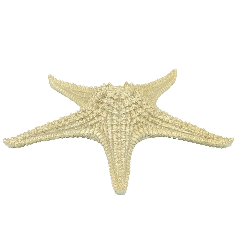 Picture of Starfish Figure Champagne