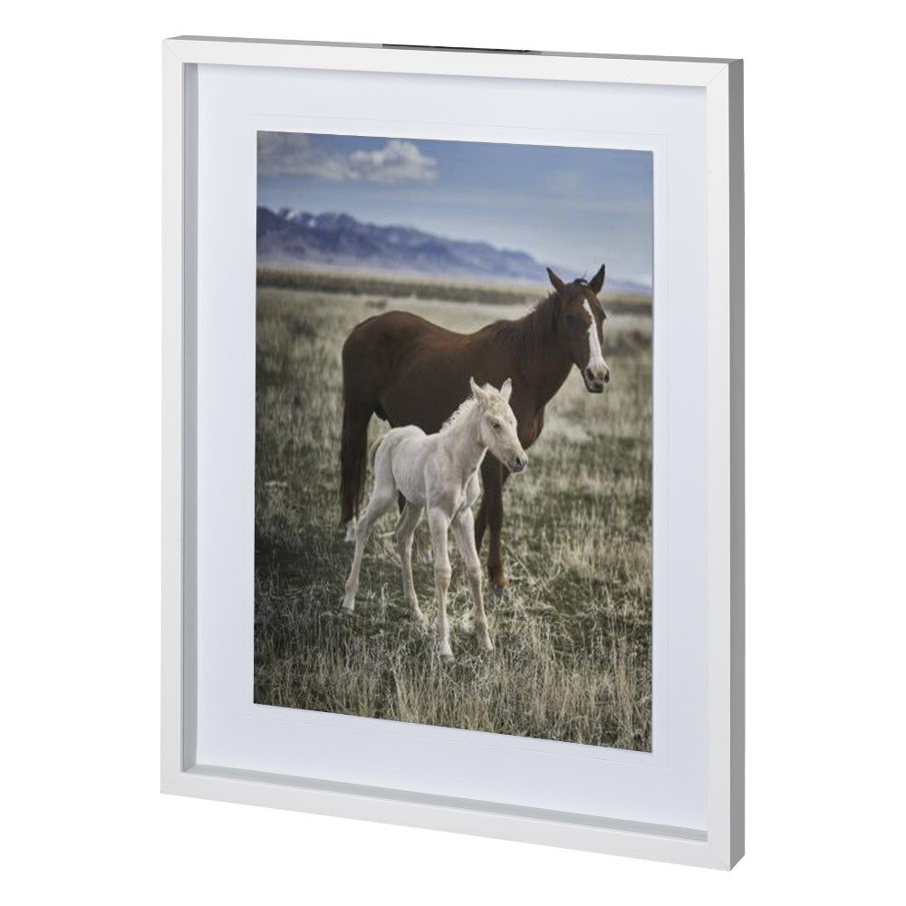 Framed photo of a brown horse and a white foal in a grassy field.
