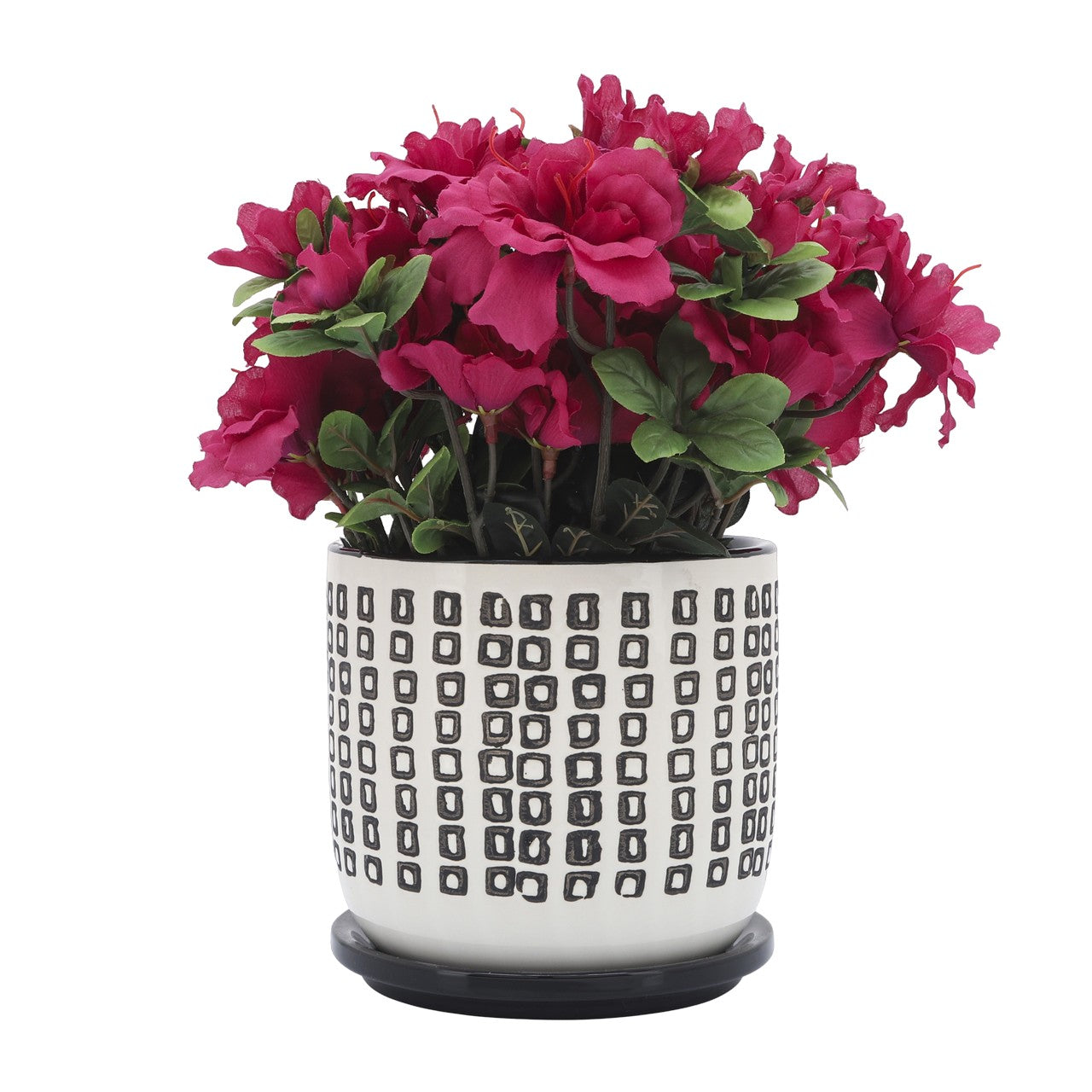 Ceramic pot with vibrant pink flowers and green leaves.