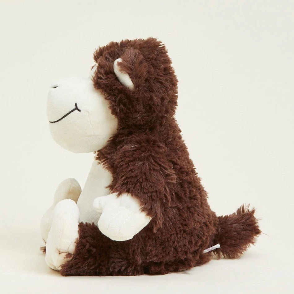 Picture of Monkey Warmies