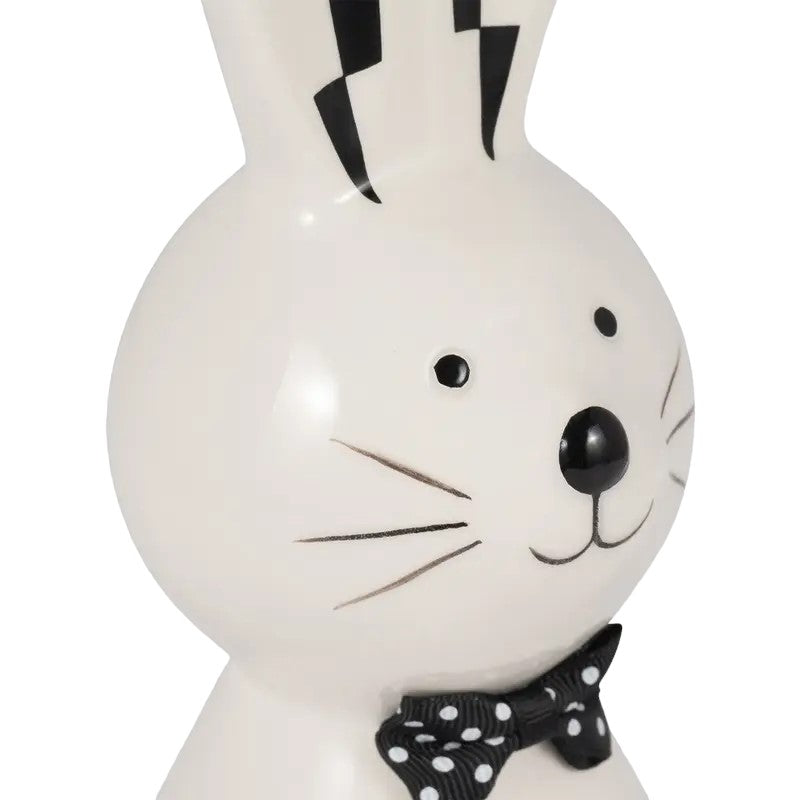 Picture of Bunny with Checkered Ears