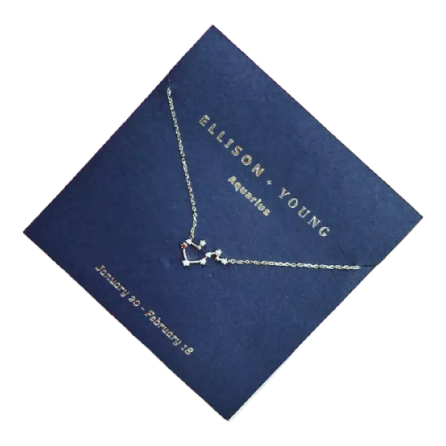 Aquarius necklace on Ellison+Young card, January 20–February 18.