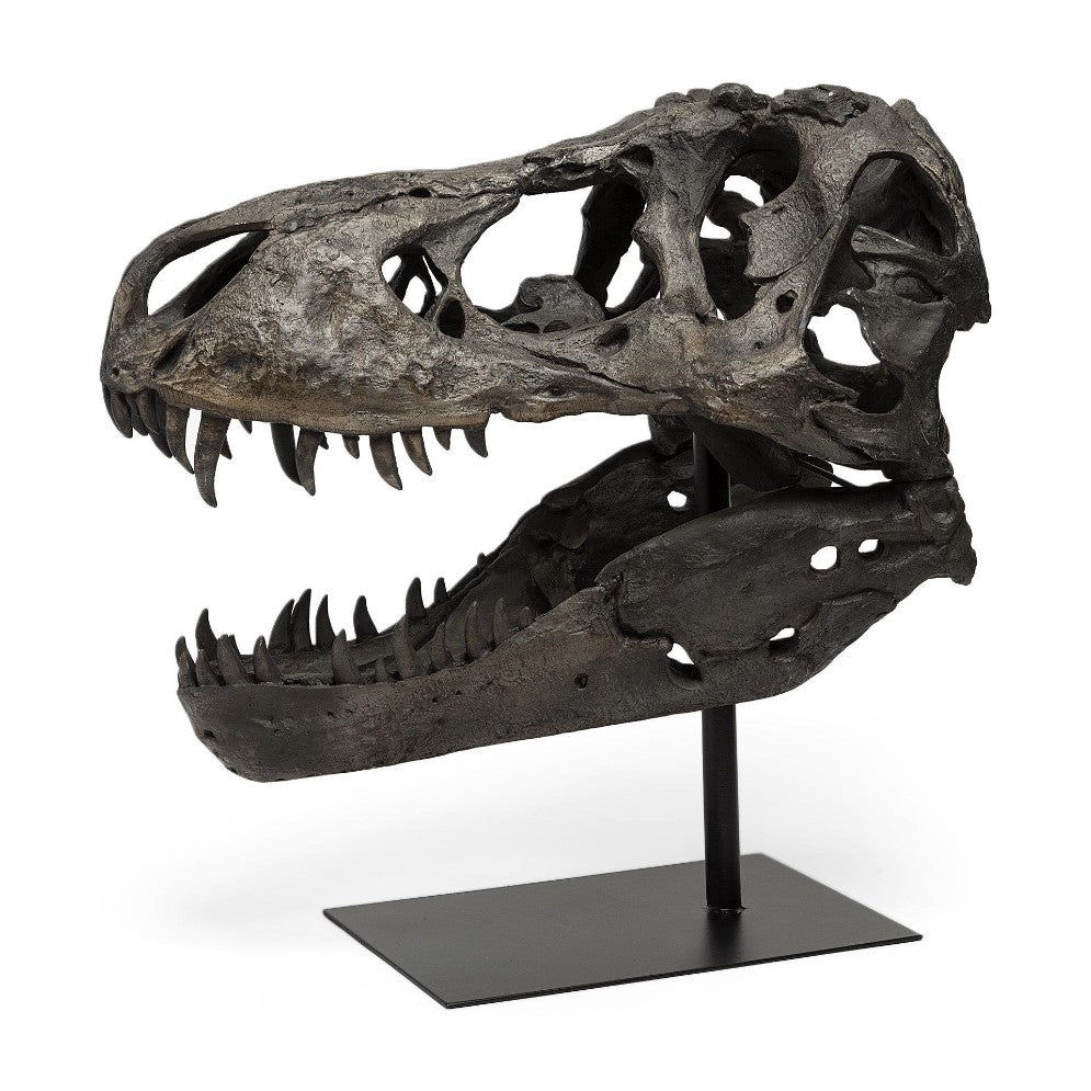 Dinosaur skull fossil on display stand.
