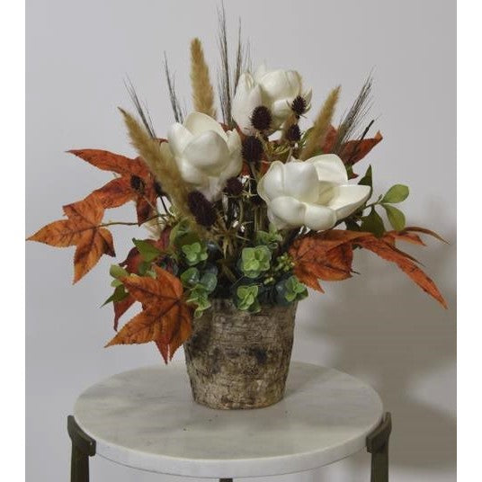 Picture of FALL ARRG IN BIRCH CONTAINER