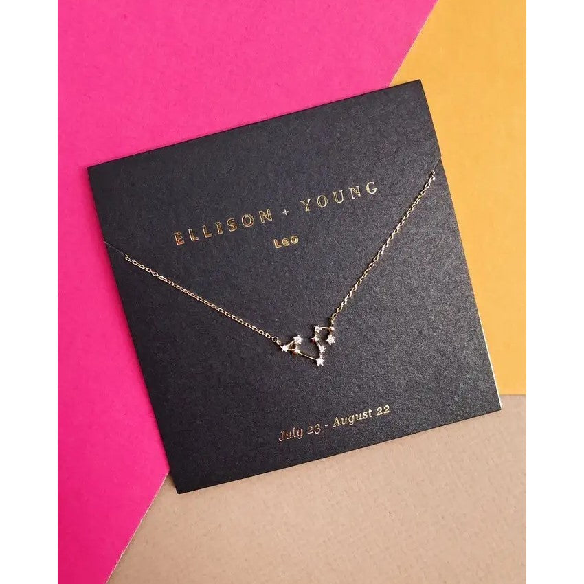Leo constellation necklace on black card with bright background.