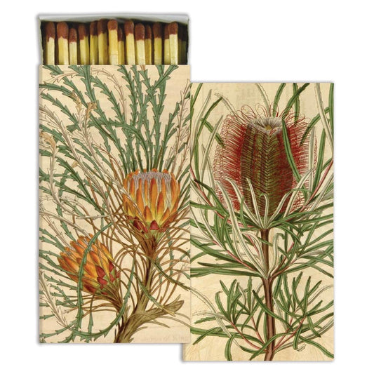 Picture of Protea Matchbox