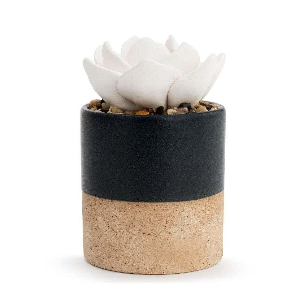 White ceramic flower in a two-tone pot with stones.