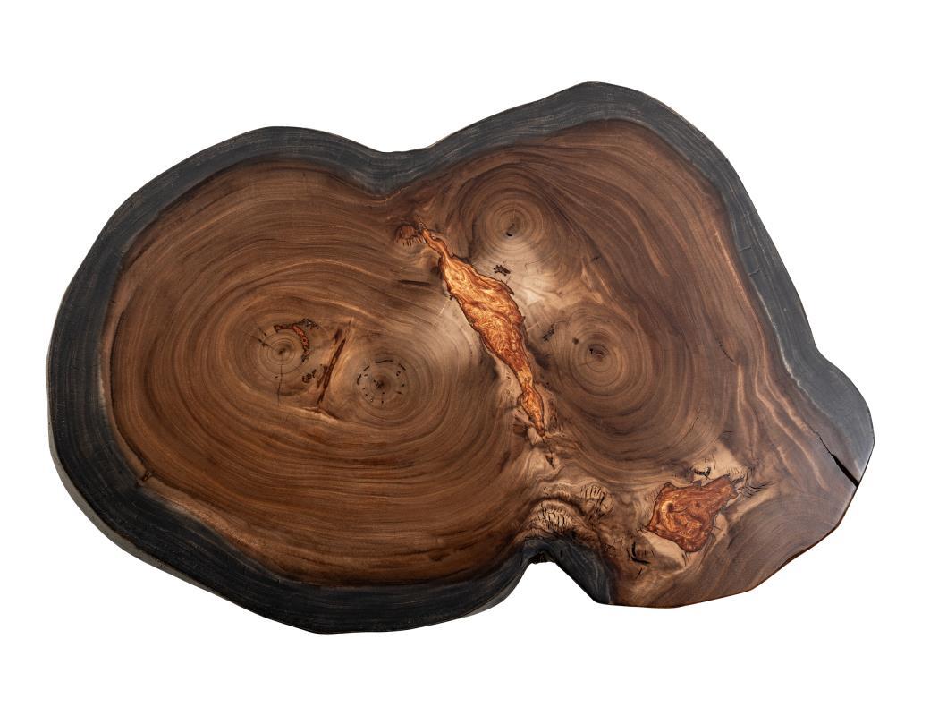 Cut tree slab with rich brown rings and unique natural patterns.