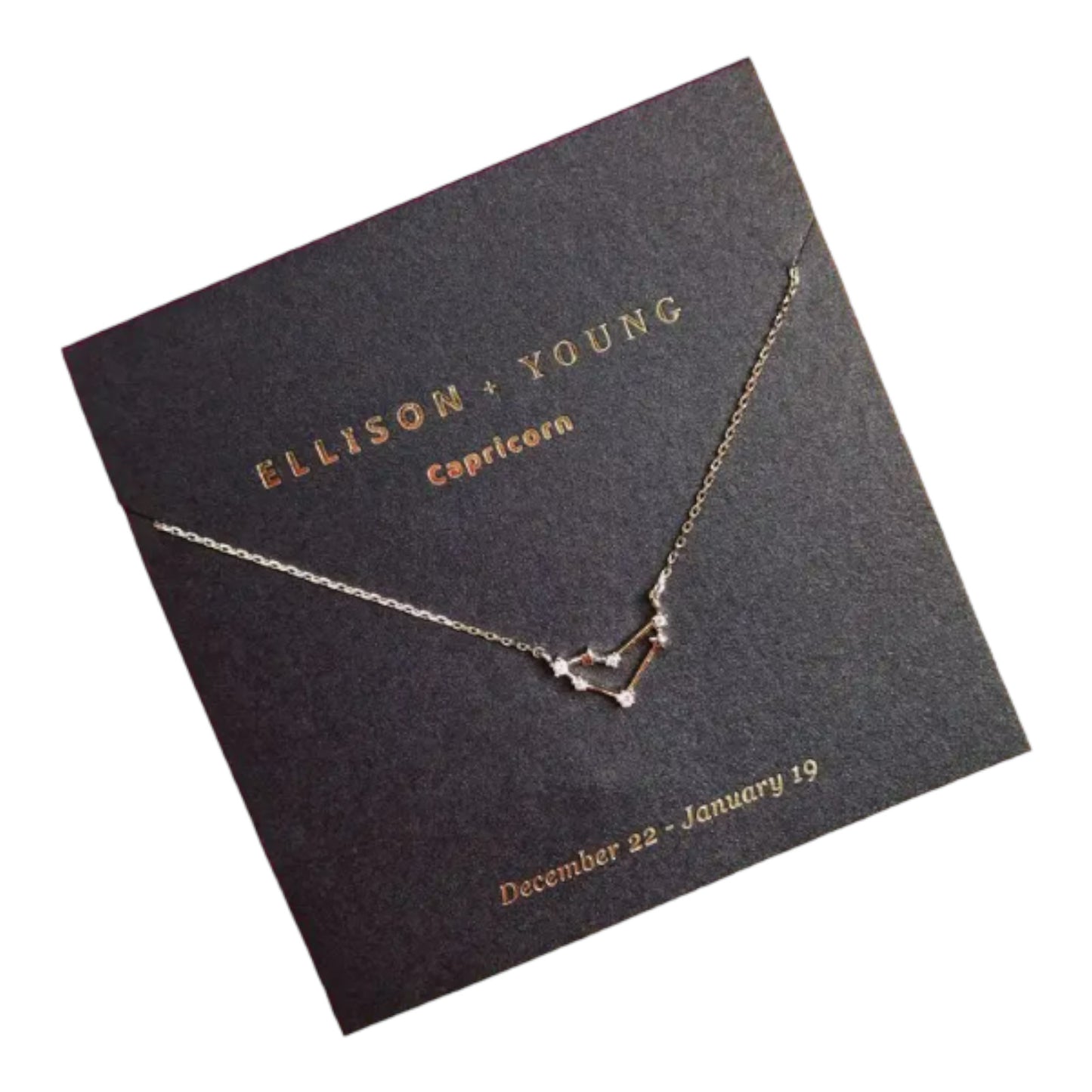 Capricorn constellation necklace on a card with dates: Dec 22 - Jan 19.