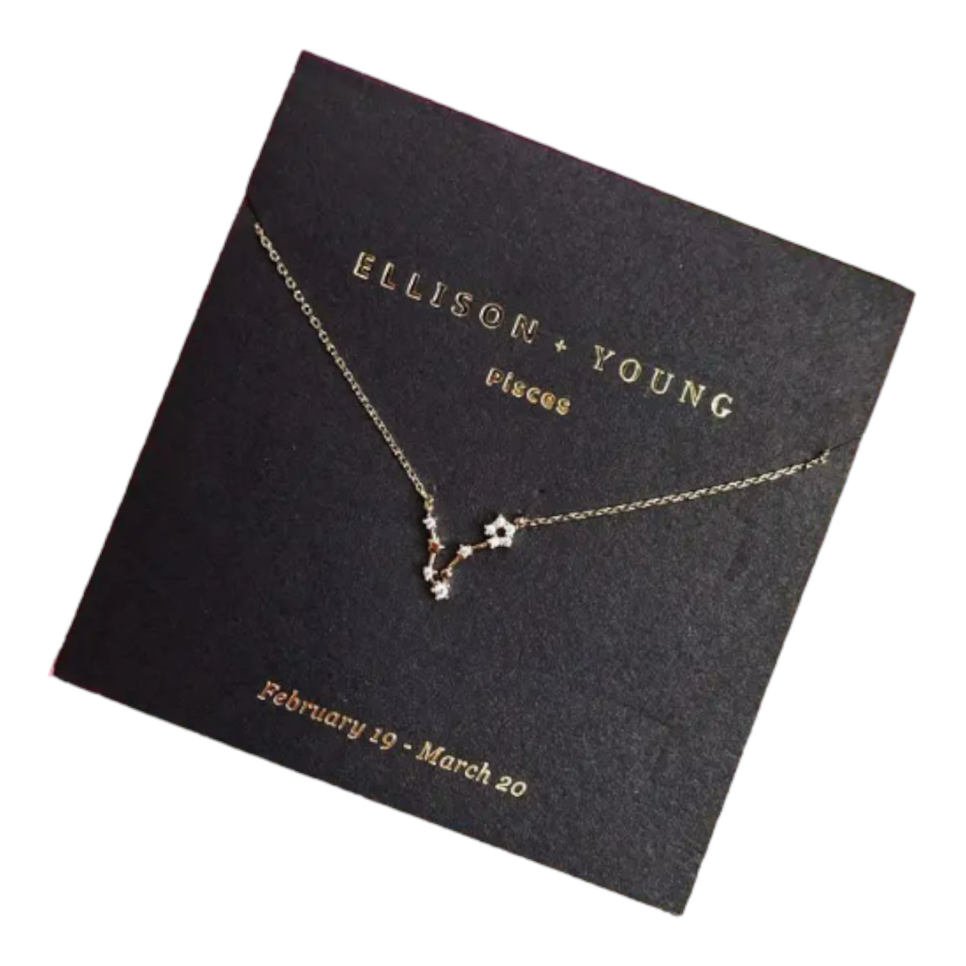 Constellation necklace on black card labeled "Ellison + Young, Pisces."