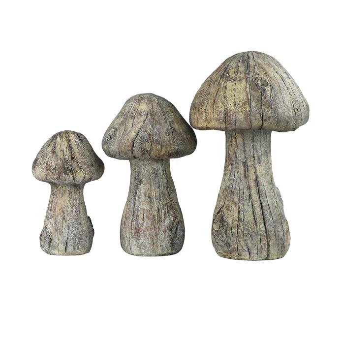 Picture of Lg Concrete Mushroom