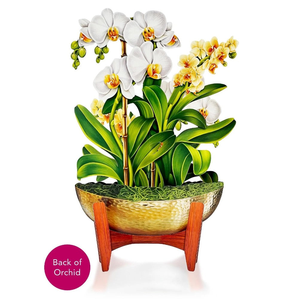 Elegant white and yellow orchids in a golden bowl with wooden stand.