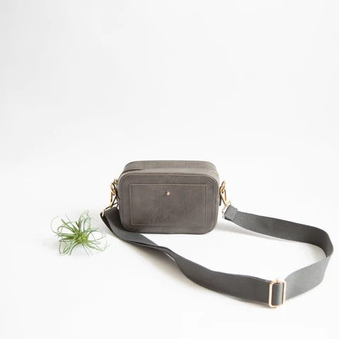 Gray crossbody bag with strap, next to a small green air plant.