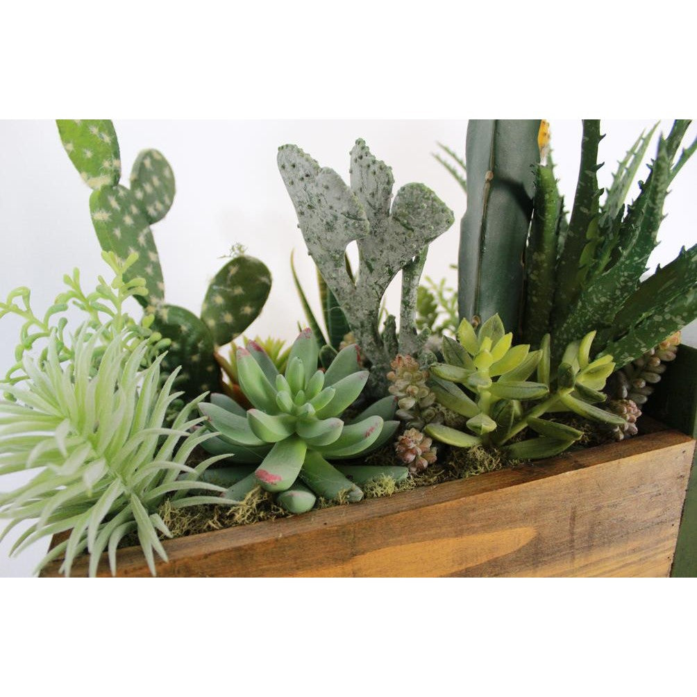 Picture of Truck w/ cactus & succulents