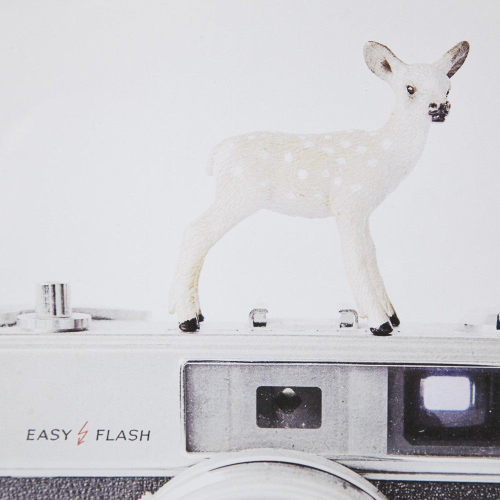 A toy deer on a vintage camera labeled "EASY FLASH."