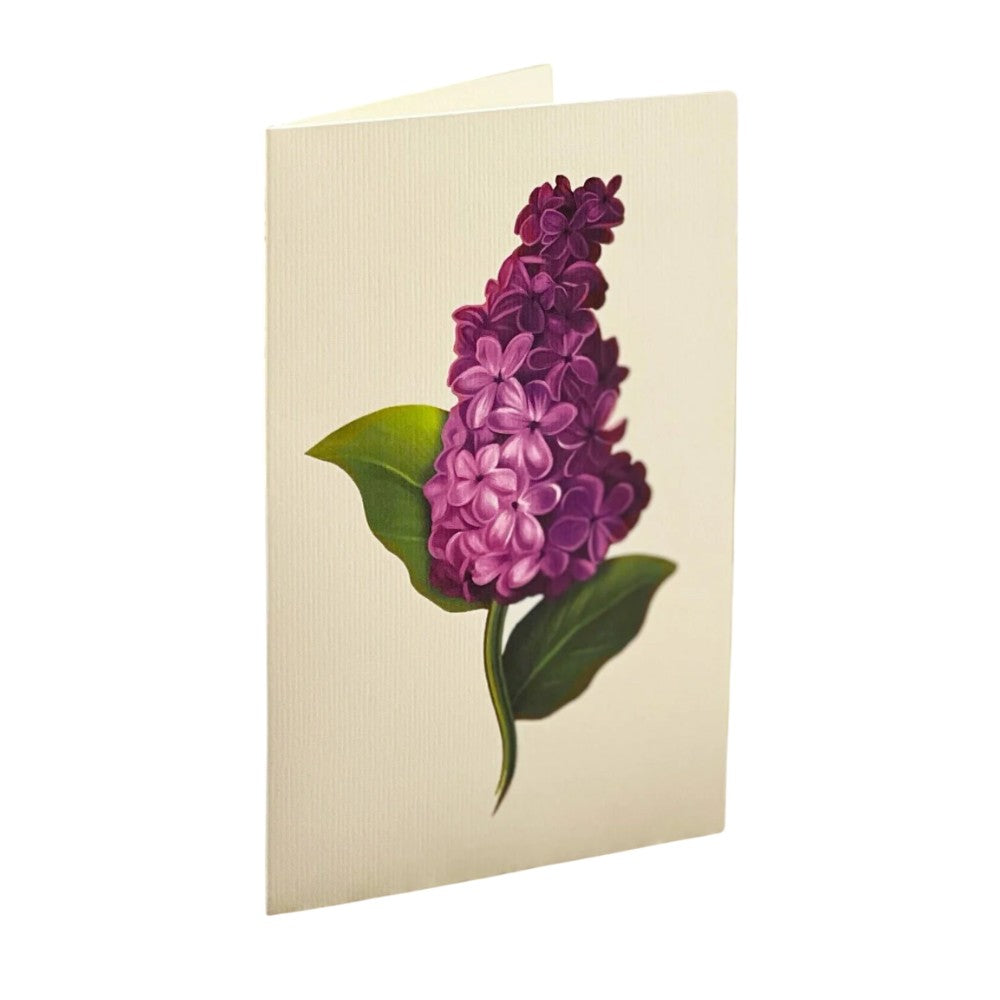 Cream card with a purple lilac illustration and green leaves.