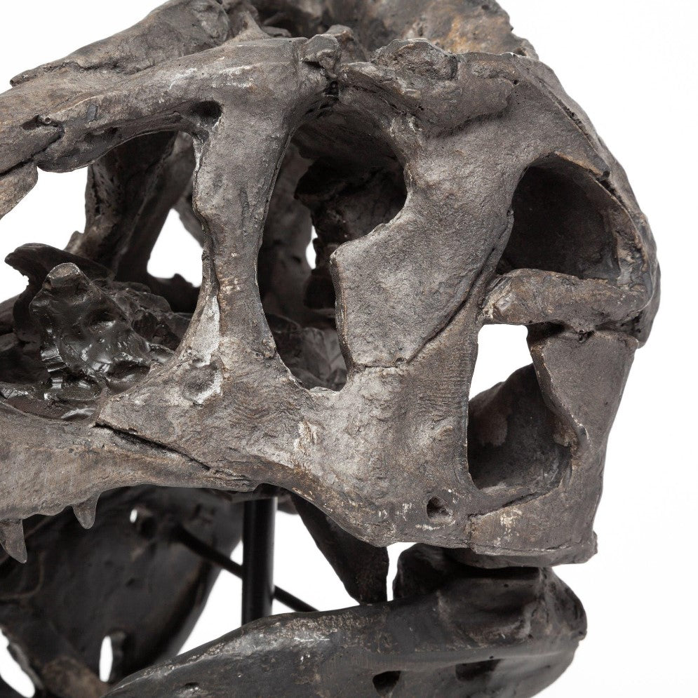 Picture of T-Rex Skull Decor on Stand Small