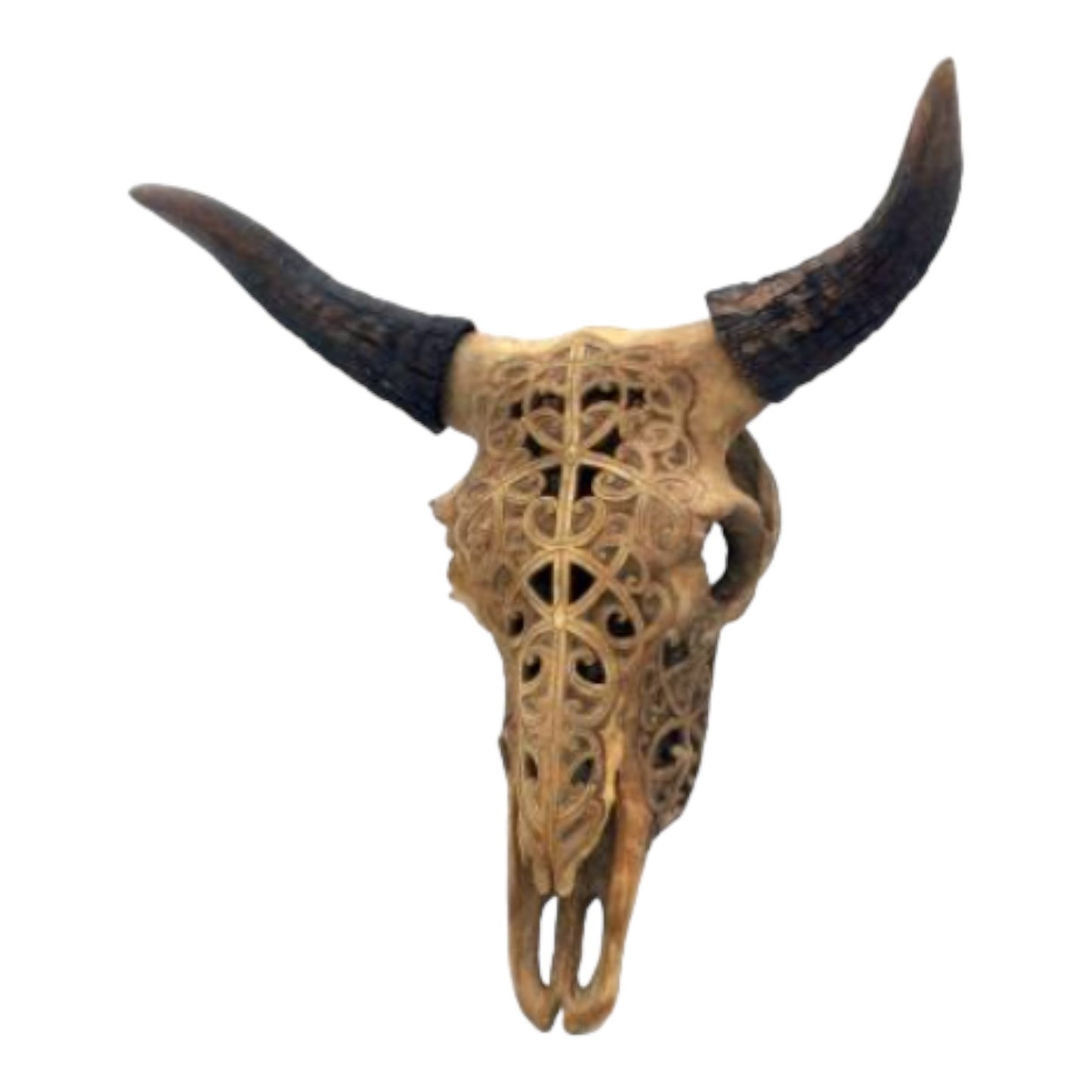 Picture of 18" Bovine Skull Wall Decor